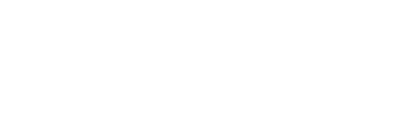 ПОРА